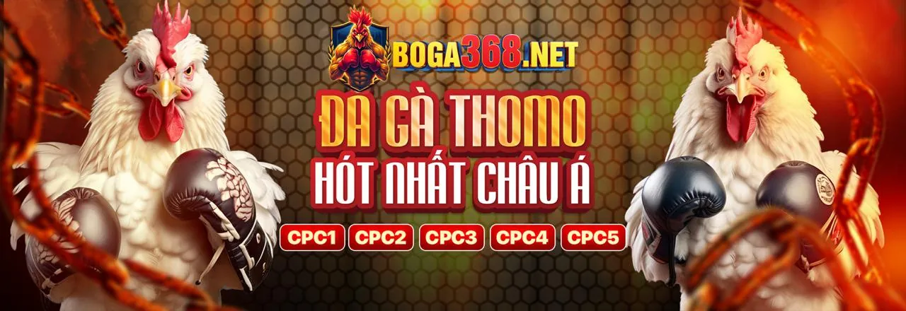 Hình ảnh đá gà trực tuyến tại i88 Casino